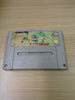 Tiny Toon Adventures Buster Busts Loose Super Nintendo SNES game Cart Only