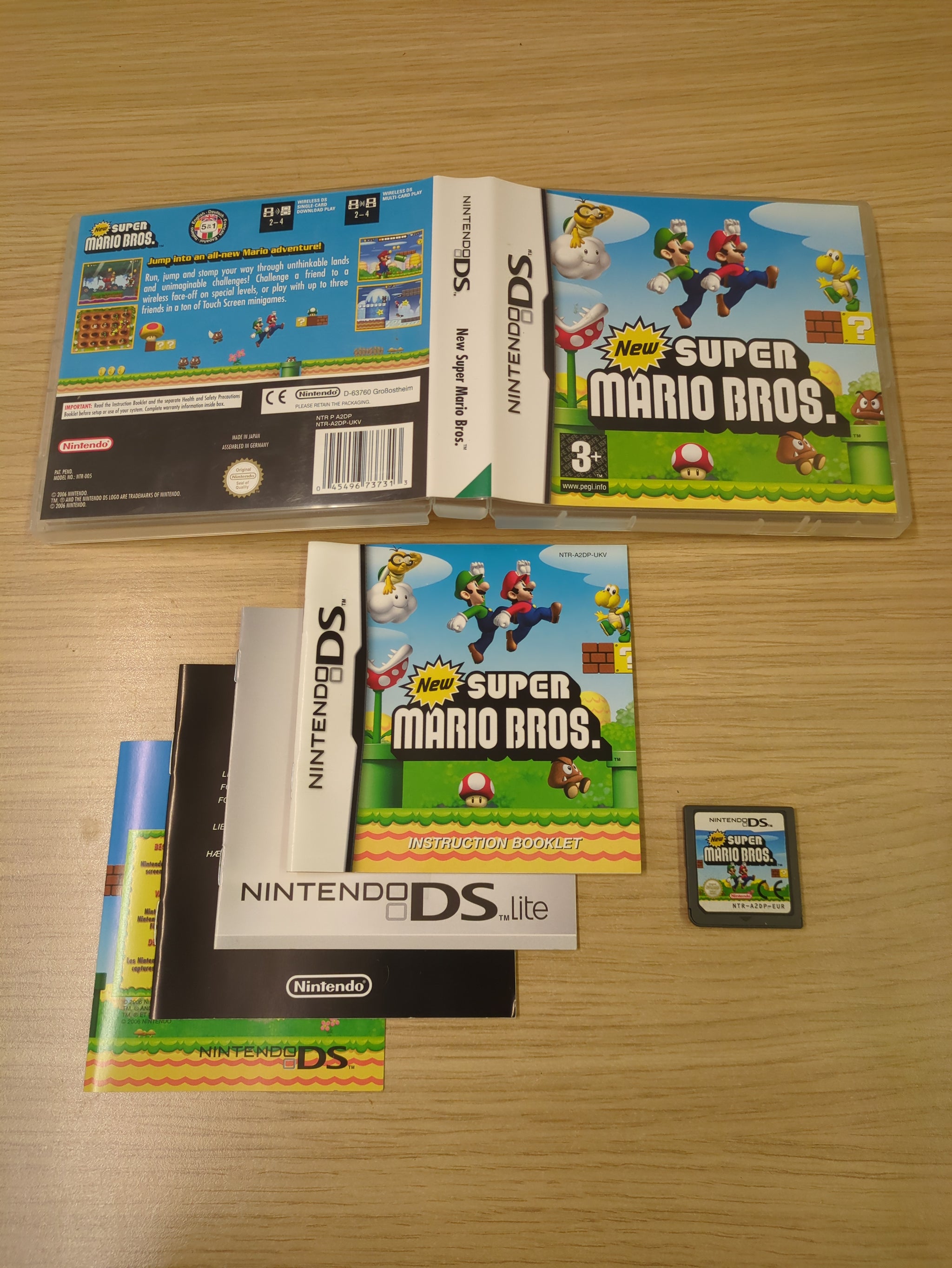 Nintendo popular DS Game