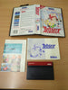 Asterix Sega Master System game