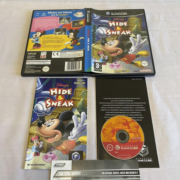 Disney's Hide & Sneak GameCube (SUPER RARE hotsell CIB COMPLETE LIKE NEW)